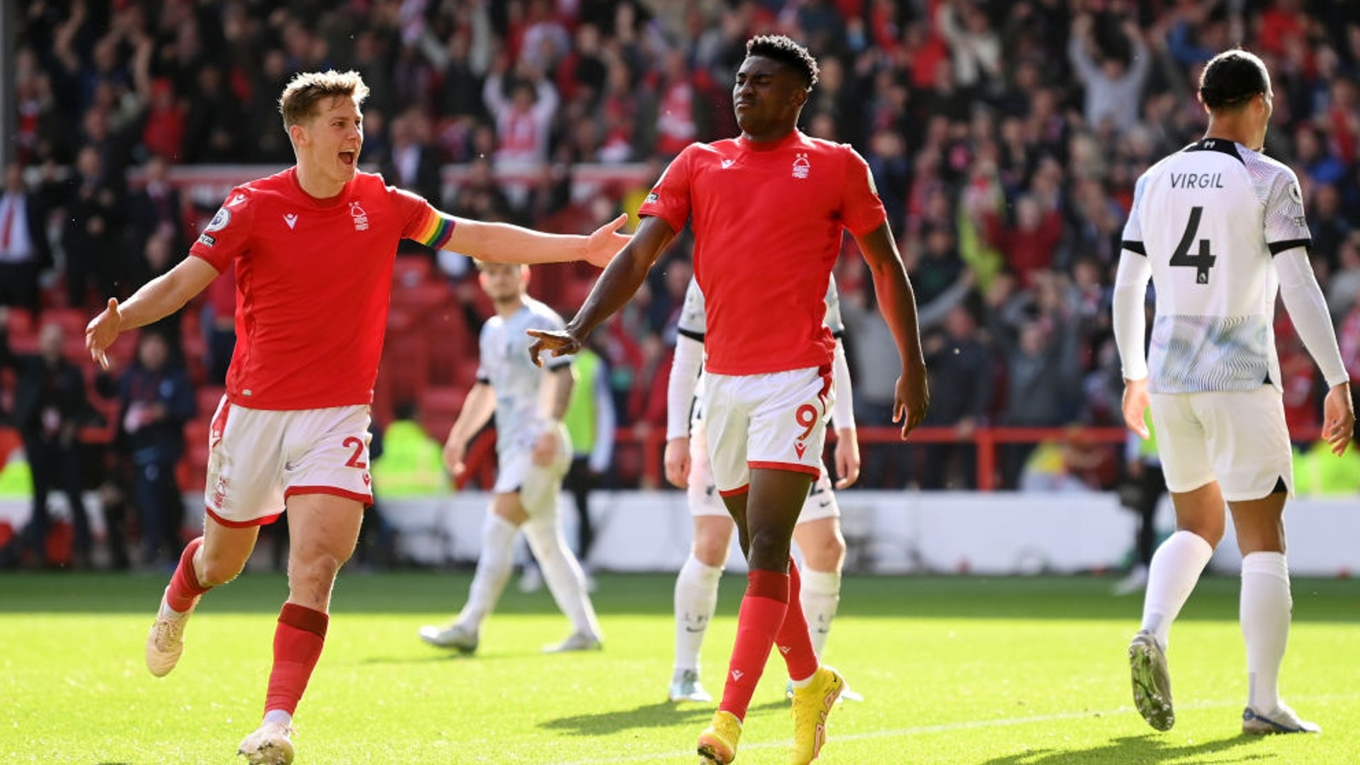 尼康的到来 尼康的到来