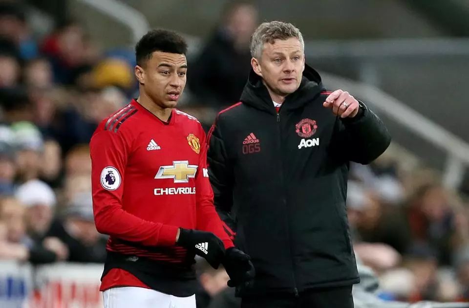 不啻为国羽 不啻为国羽